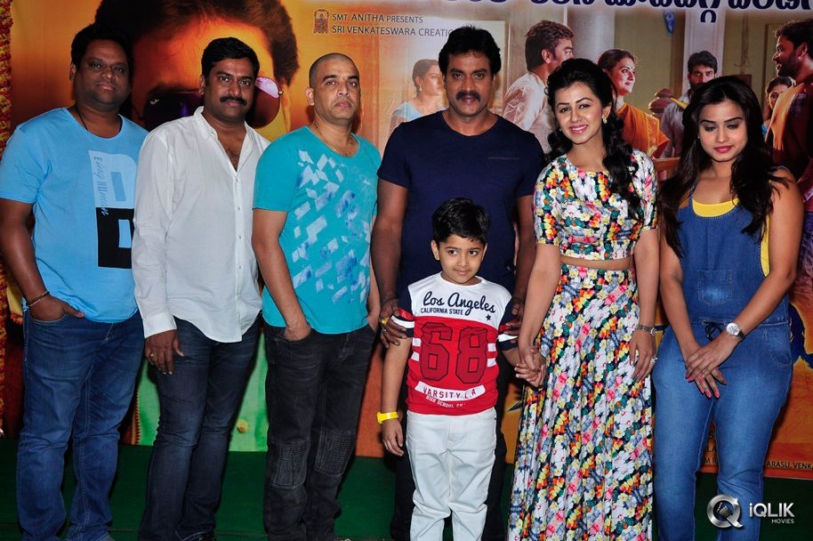 Krishnastami-Movie-Success-Meet